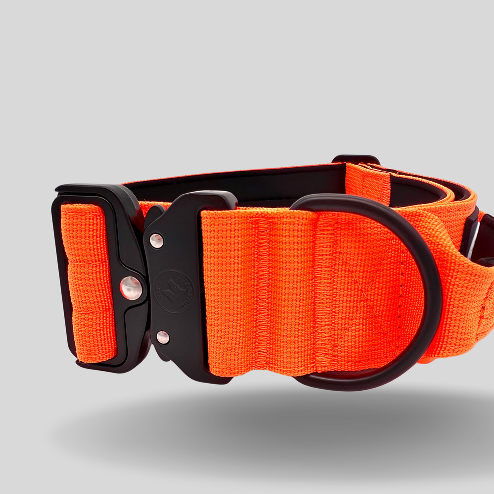 Tactical collar with handle / Quick-release clasp / Neon orange ...