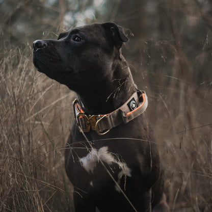 SUNSET - taktisches Halsband