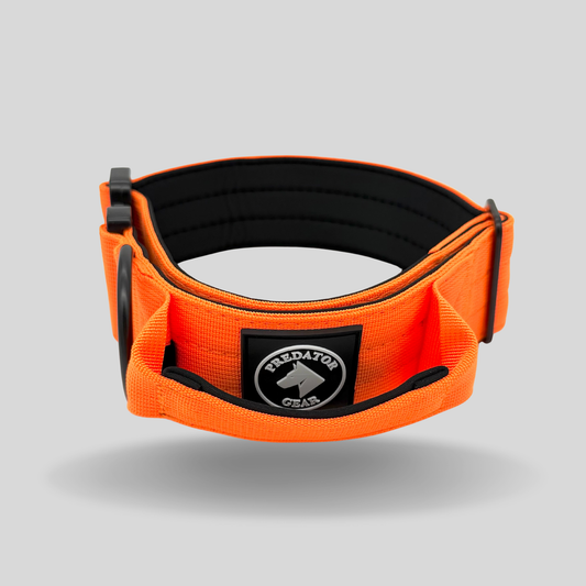 IGNITE - taktisches Halsband