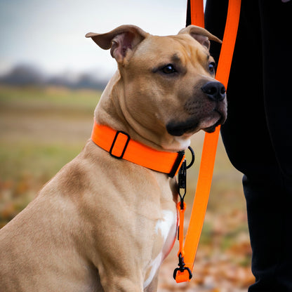 IGNITE - taktisches Halsband