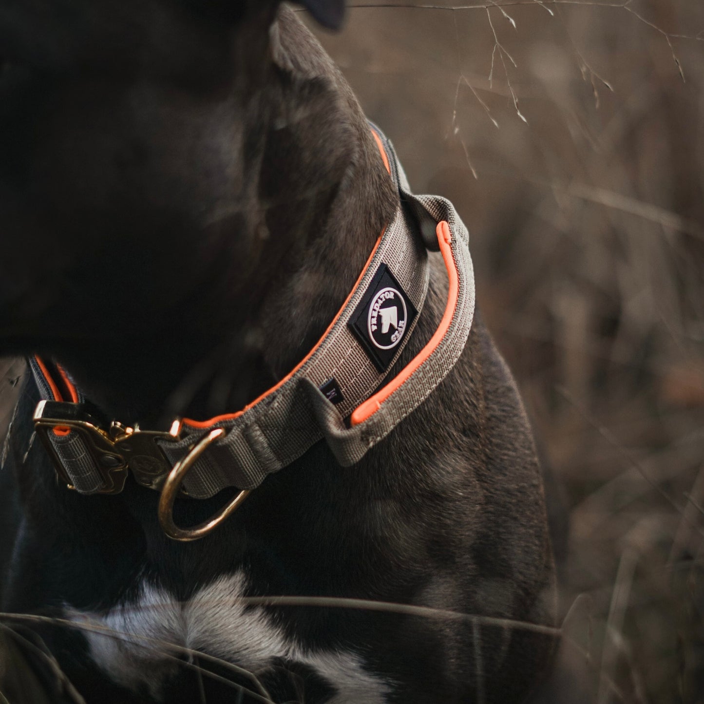 SUNSET - taktisches Halsband