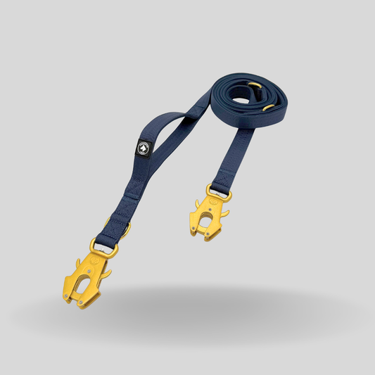 MIDNIGHT GOLD - verstellbare Leine 135-250 cm