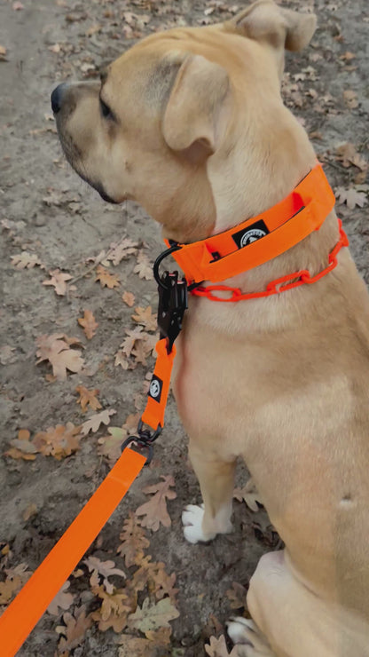 IGNITE - taktisches Halsband