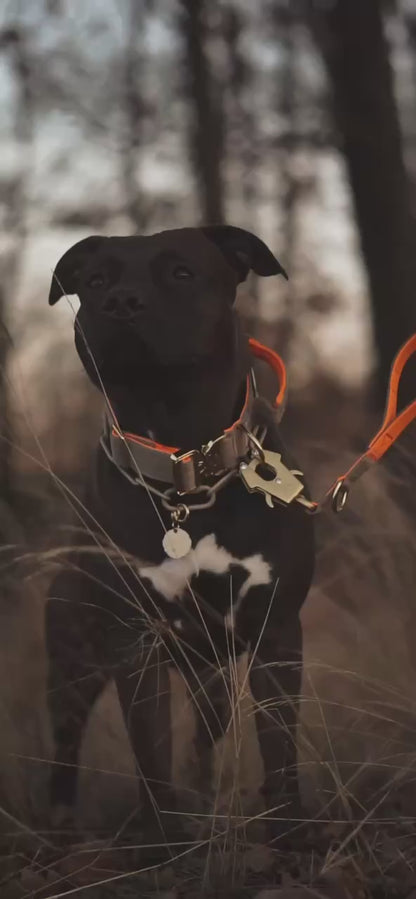 SUNSET - taktisches Halsband